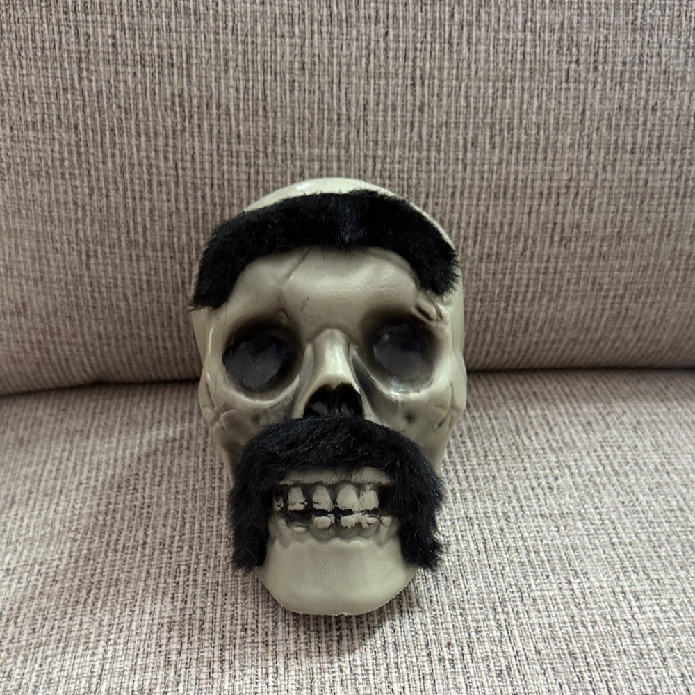Decorative Skull with Black Mustache